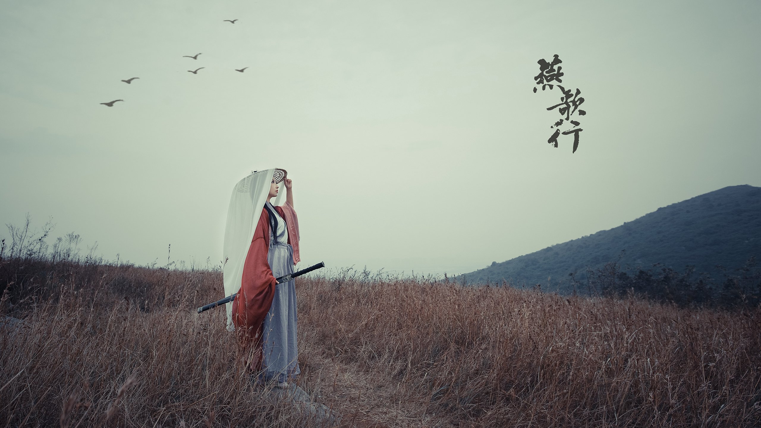 颠覆定律，哈斯实验性策略如何让拉塞尔的统治沦为背景