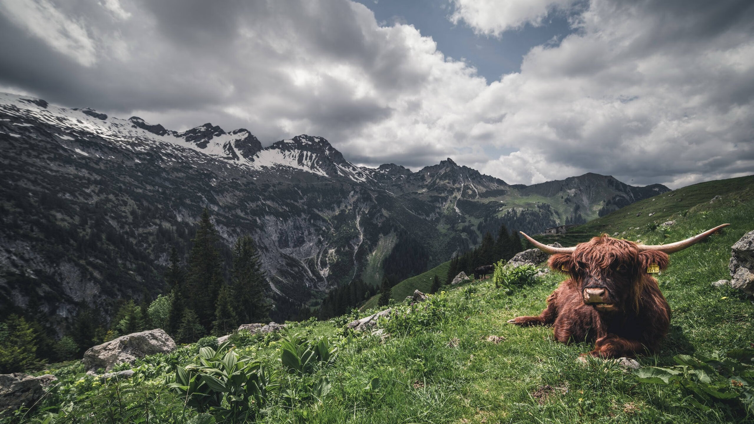 逆转的风暴，当泰国队从悬崖边带回胜利，马琳成为那把扭转命运的钥匙
