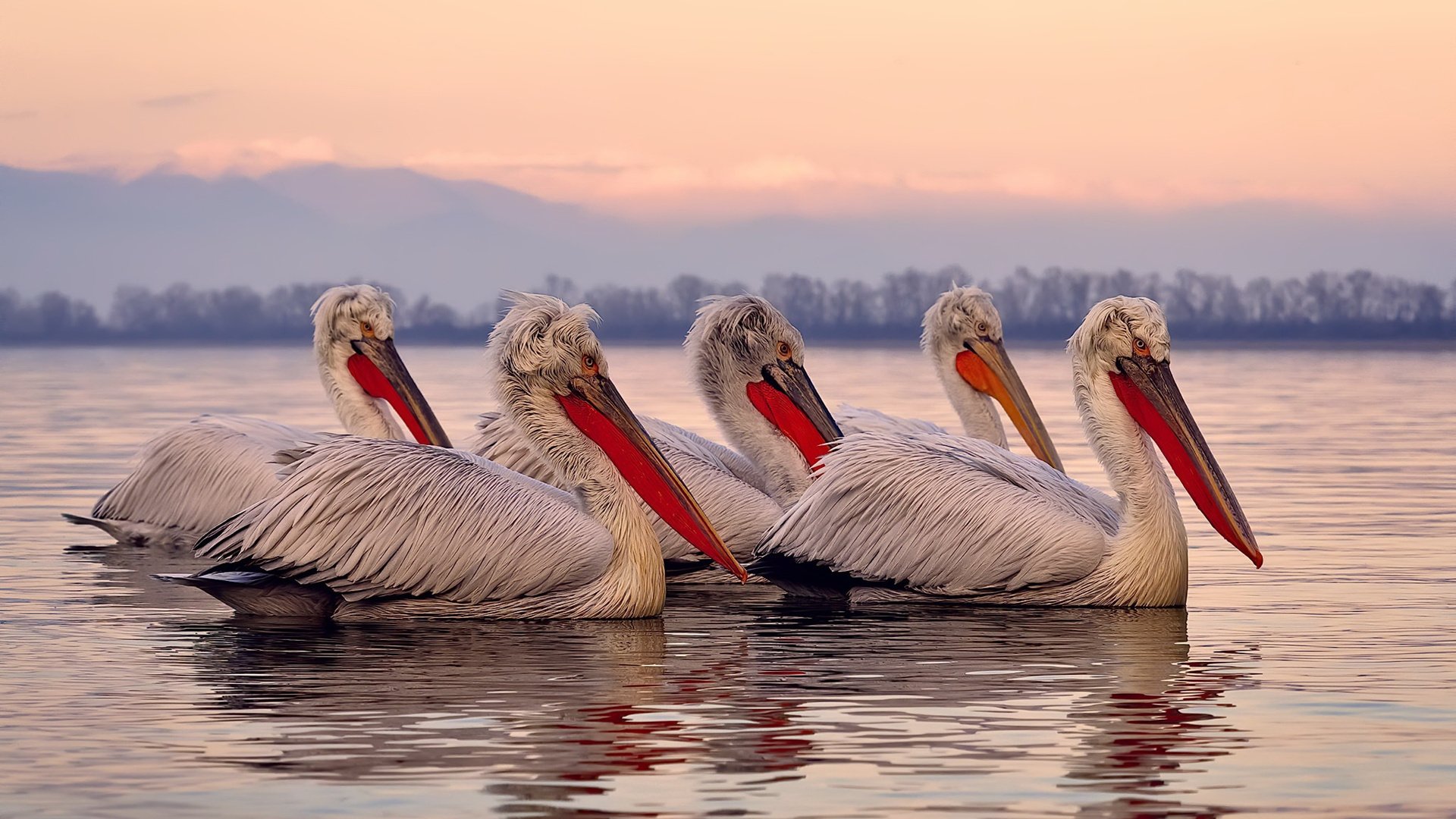 十年逆旅，从法拉盛到伦敦，穆雷如何用一场逆转扛起一支队伍的魂