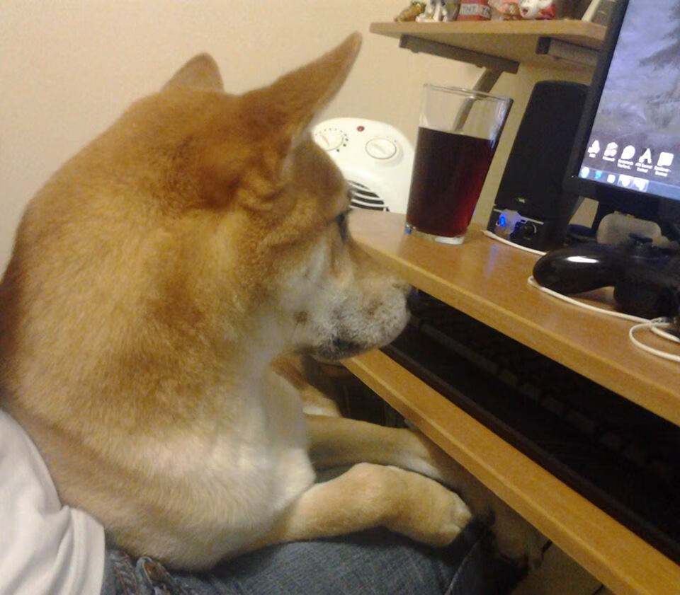 当奥兰多魔术遇见山西猛龙,马克西的冠军级演出