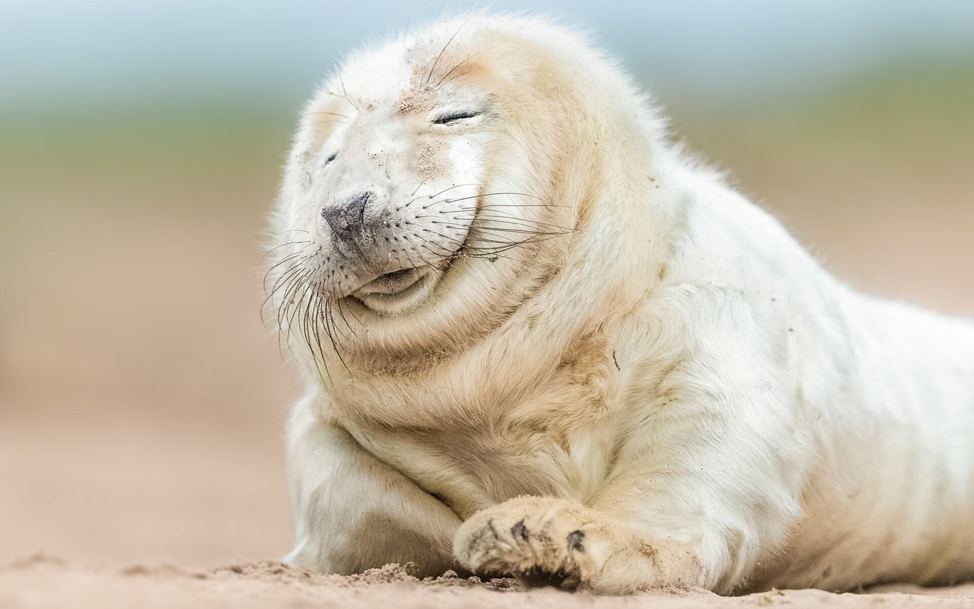 小城铁骑踏碎爵代,当约基奇预言2026的篮球新秩序