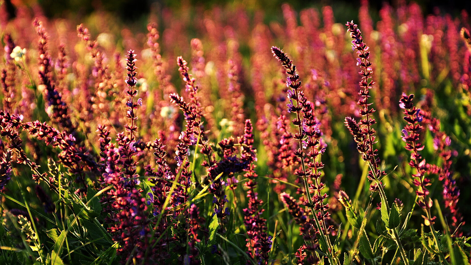 爱游戏娱乐-冰与火的对决，比利亚雷亚尔收割冰岛，法比尼奥化身中场齿轮关键先生