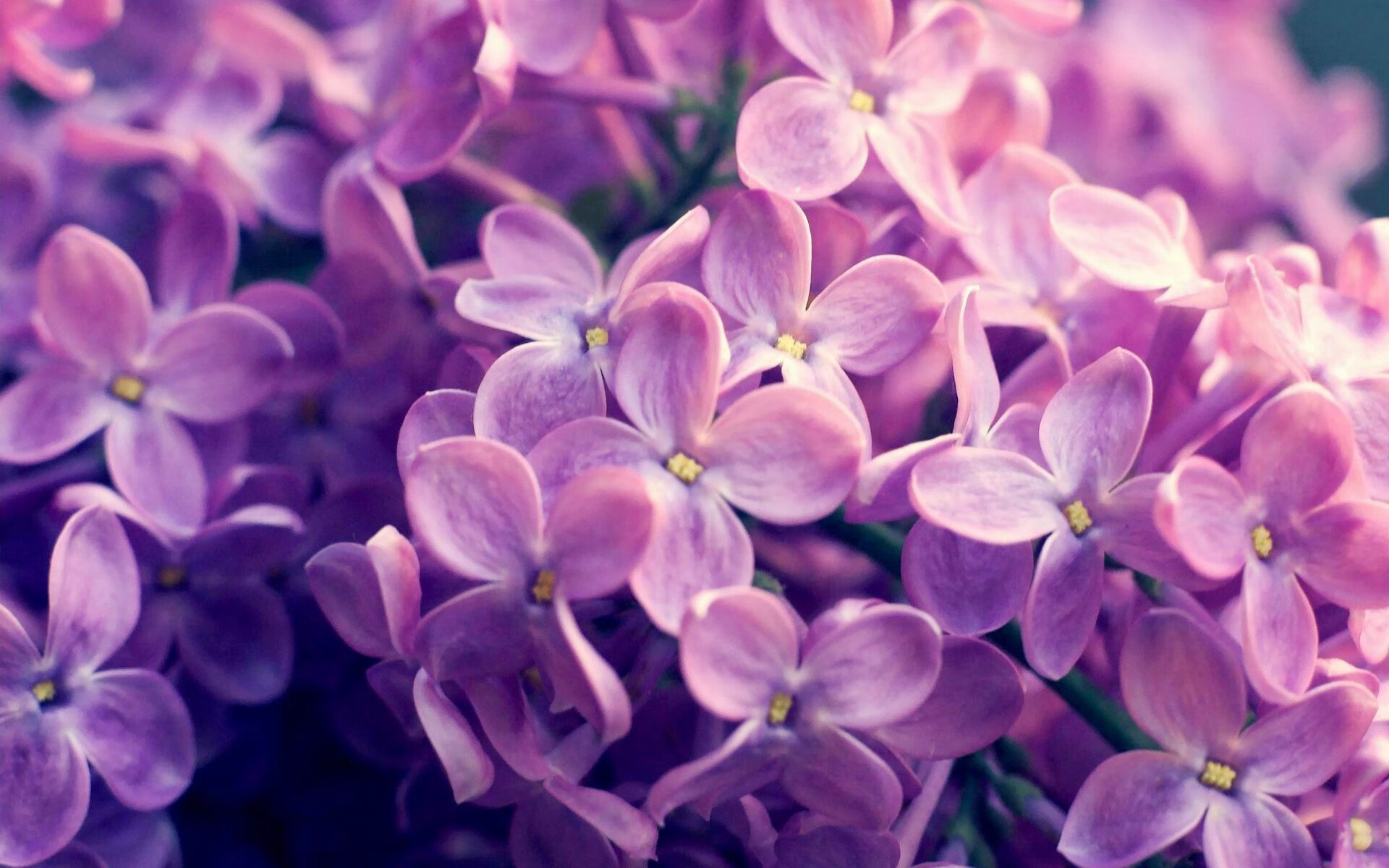 冰与火的对决,比利亚雷亚尔收割冰岛,法比尼奥化身中场齿轮关键先生