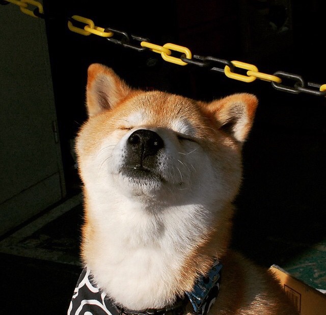 药厂尖刀撕裂雷恩防线,孔德一锤定音,诠释何为打穿的艺术