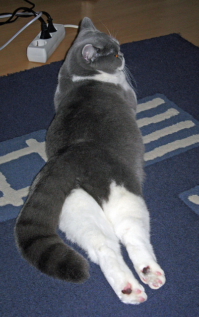 当传奇迎来终章,西亚卡姆西决生死战接管背后的时代暗线