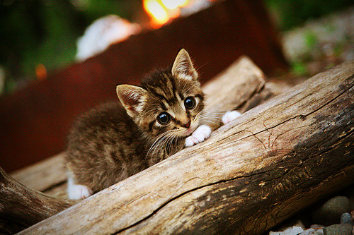 波兰铁骑踏平伯纳乌,莱万的复仇与新时代的序章