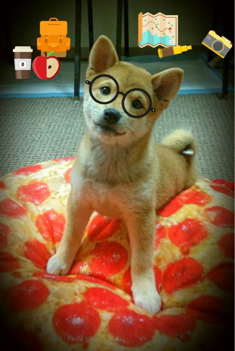 跨洋爆冷!广东队强行终结湖人,西亚卡姆成关键先生