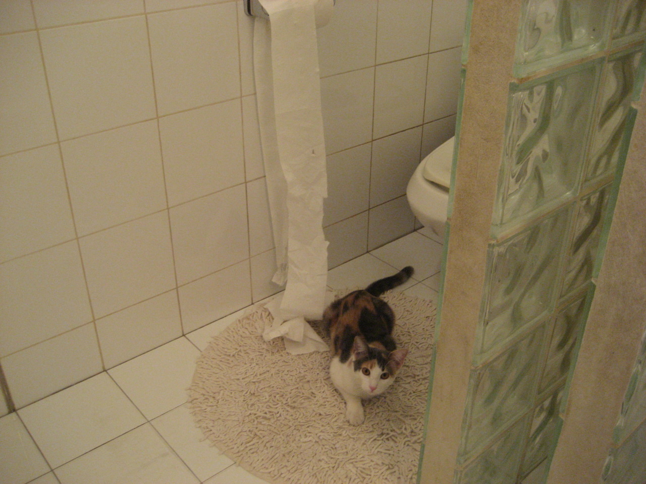 南非掀翻亚特兰大,罗德里抢七接管,所有掀翻的背后,都是旧秩序的黄昏