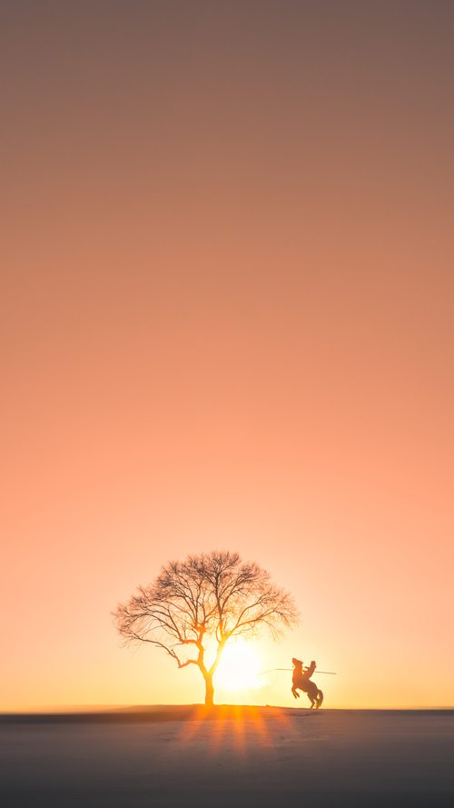 爱游戏入口-当欧冠遇上NBA，独行侠的足球式胜利与热火的点球大战
