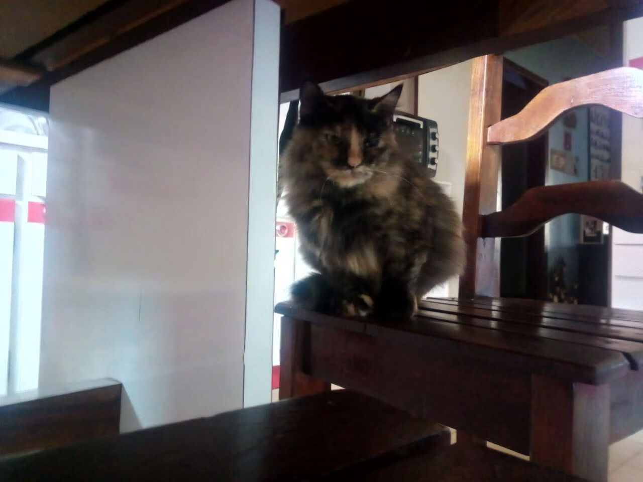 德文·布克，新疆队长在波士顿击碎了最后1.7秒