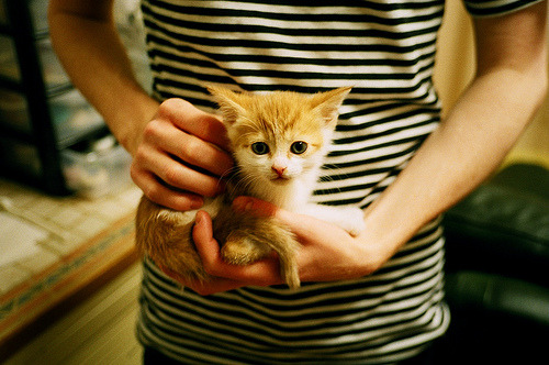 尺冰,也能制造战术雪崩,卡瓦哈尔与冰岛队,无意间揭示了足球的真谛