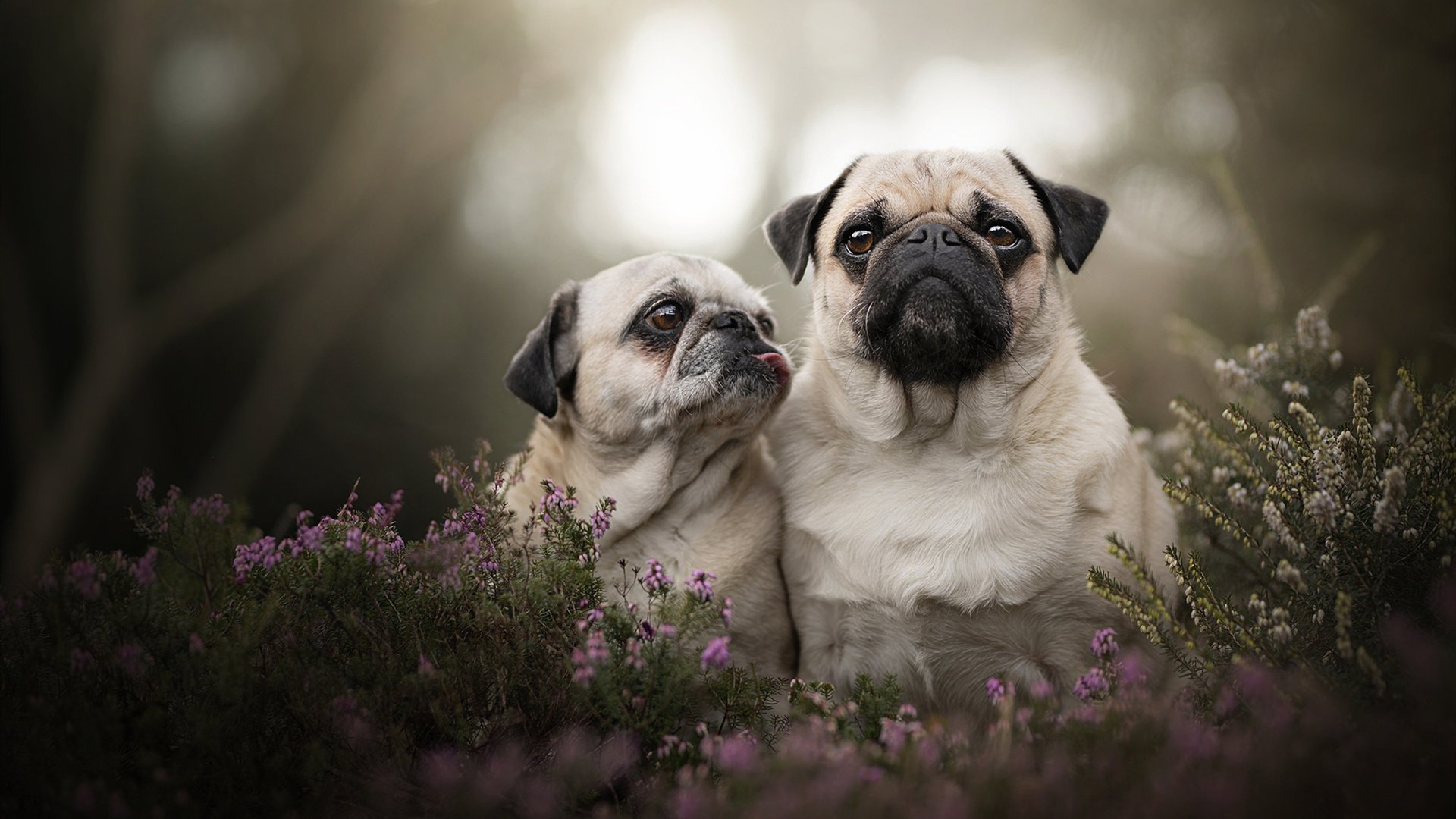 决战白宫东翼,奥利维耶如何让三节末成为终场哨