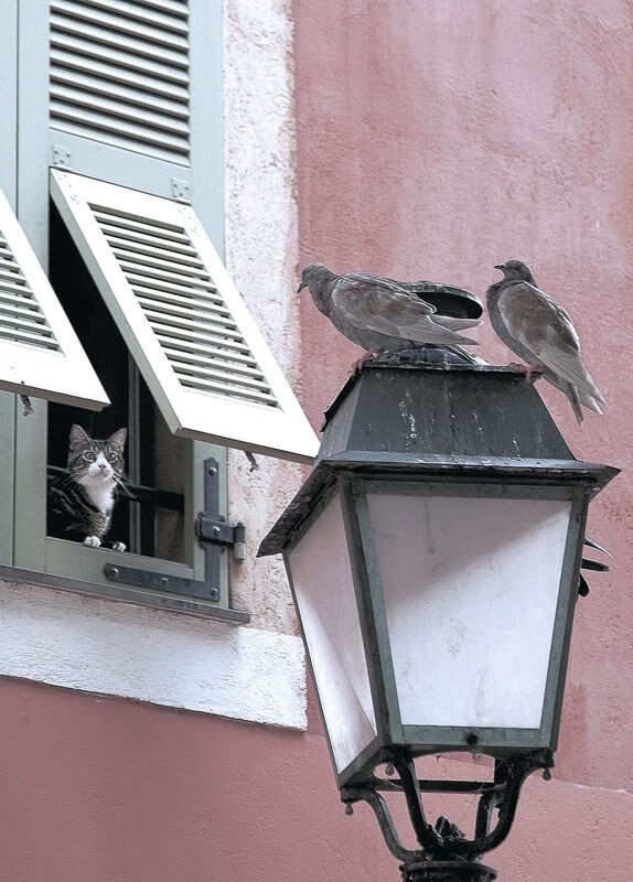 萨拉赫的压制级魔法，摩洛哥如何奇迹战胜拜仁