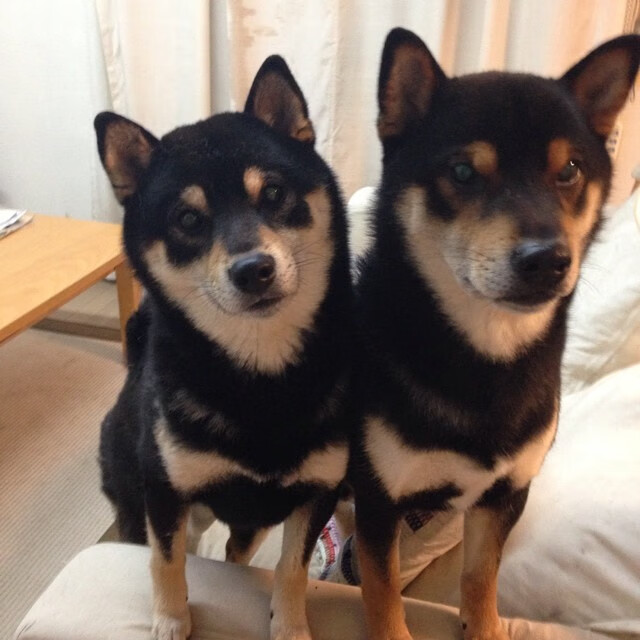 冰封爵士与烈焰接管,当防守艺术遇见进攻天赋