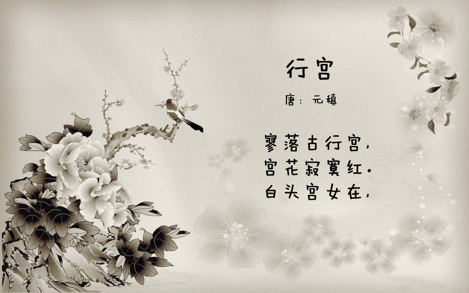 唯一之夜,2026世界杯G组,美国击碎印度神话,坎塞洛的世纪闪击