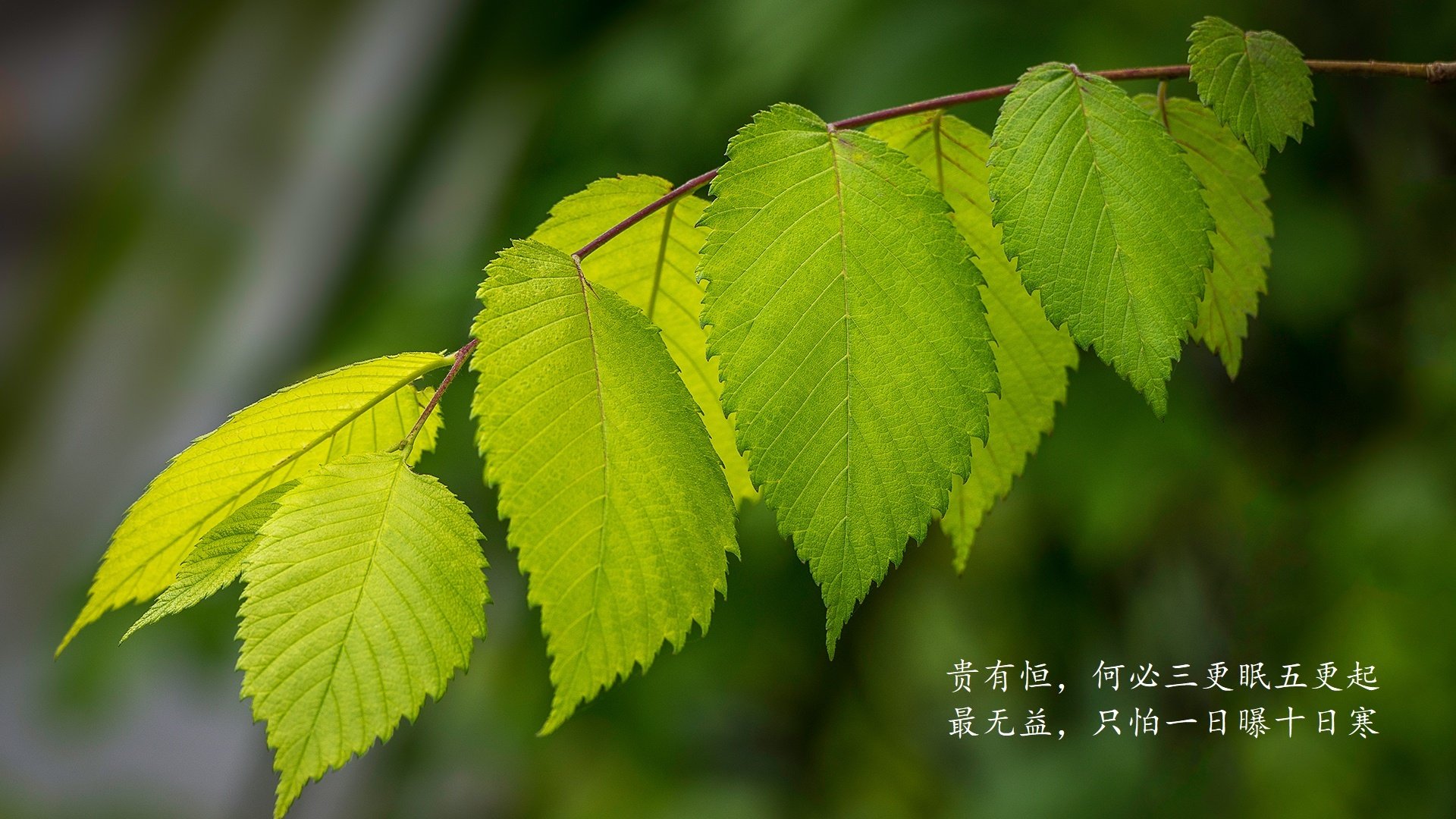 根据您提供的关键词,我为您构思并撰写了一篇具有唯一性与冲突张力的文章,标题及正文如下