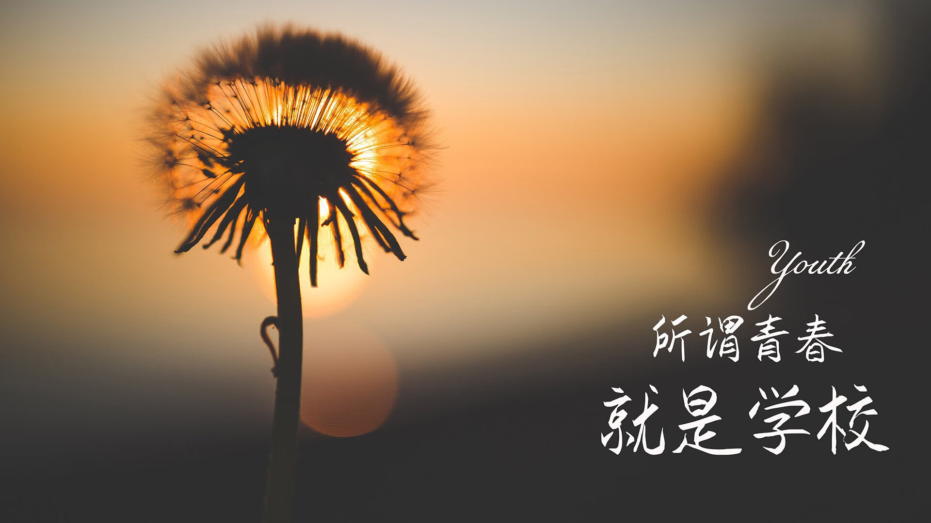 亚细亚奇迹夜,2026世界杯E组,泰国压哨绝杀葡萄牙,加维独舞难救主